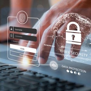 E commerce online security